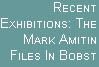 Mark Amitin files in Bobst Library, NYU